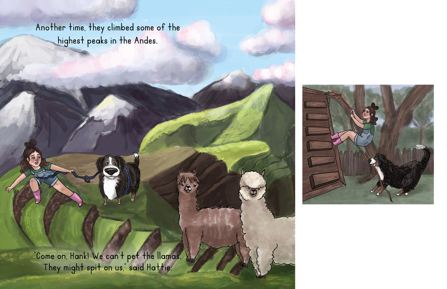 The Adventures of Hattie and Hank - Picture Book